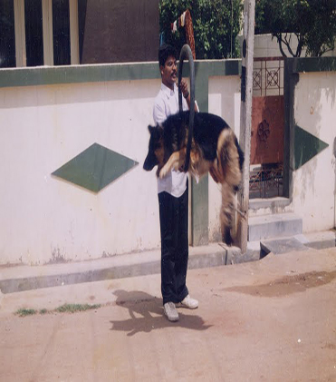dog